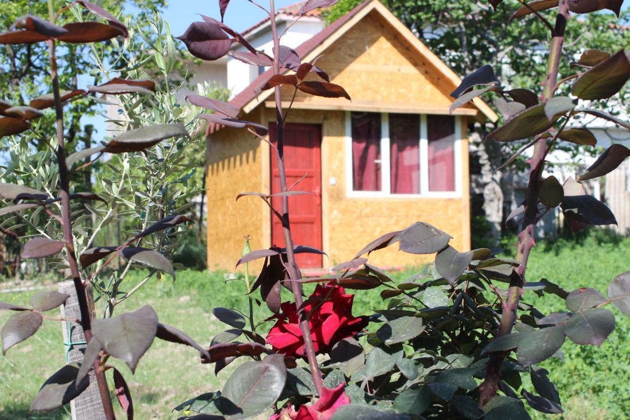 Elbasan Backpacker Hostel Exterior foto